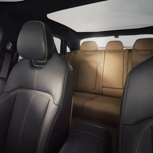 Lucid-Air (8)