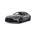 Mercedes-Benz AMG GT 43 (2)