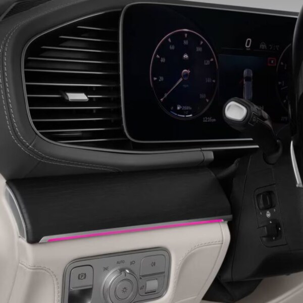 Mercedes-Benz Maybach GLS (15)