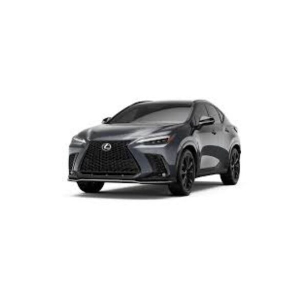 Lexus-NX (2)