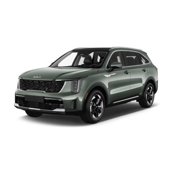 Kia Sorento Hybrid (4)