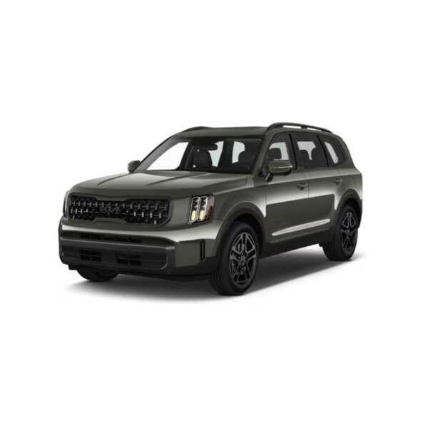 Kia Telluride (3)