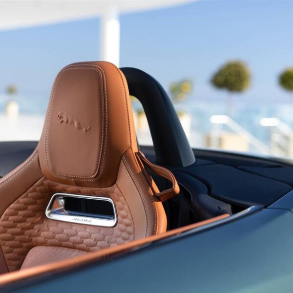 Jaguar F-TYPE Convertible (2)