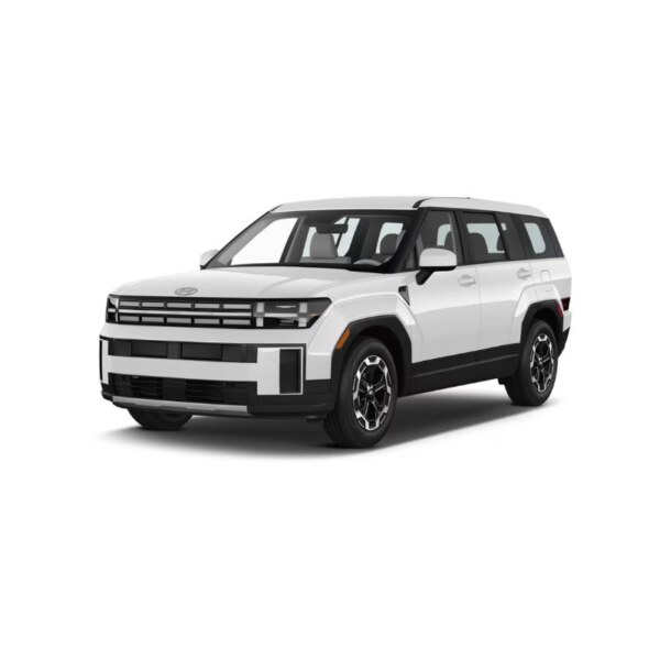 Hyundai Santa Fe (4)