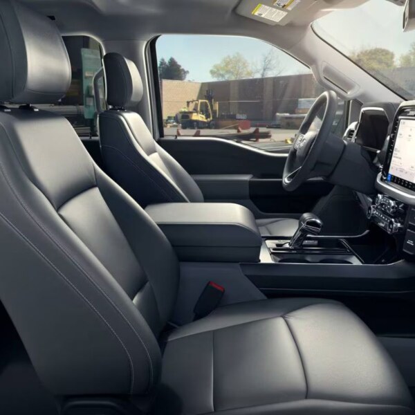 Ford F-150 Lightning (1)