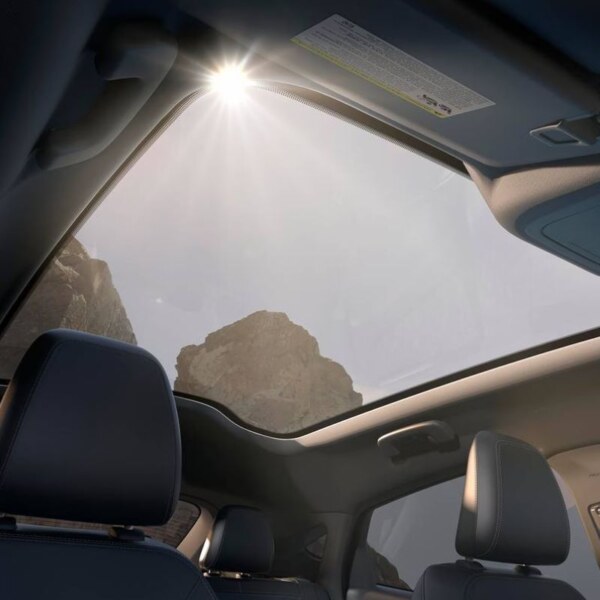 Ford Mustang Mach-E (1)